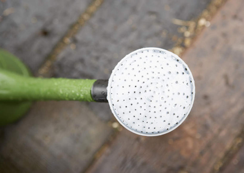 无人,横图,俯视,室外,特写,白天,水,地板,阴影,朦胧,模糊,光线,壶,液体,影子,水滴,地面,洒水壶,木地板,水壶,一个,绿色,阳光,单个,浇水壶,彩图,高角度拍摄