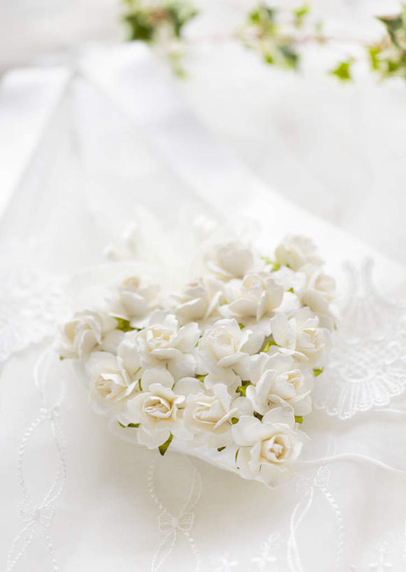 无人,竖图,俯视,室内,特写,白天,爱情,幸福,纯洁,热情,床,玫瑰,许多,阴影,爱心,盛开,反射,影子,双人床,玫瑰花,床单,浪漫,花蕾,被子,花,花瓣,花朵,鲜花,排列,白色,白玫瑰,花苞,花蕊,温暖,温馨,心形,恩爱,摆放,和睦,放置,被单,队列,感动,尊敬,天真,刺玫花,徘徊花,心型,彩图,高角度拍摄,融洽