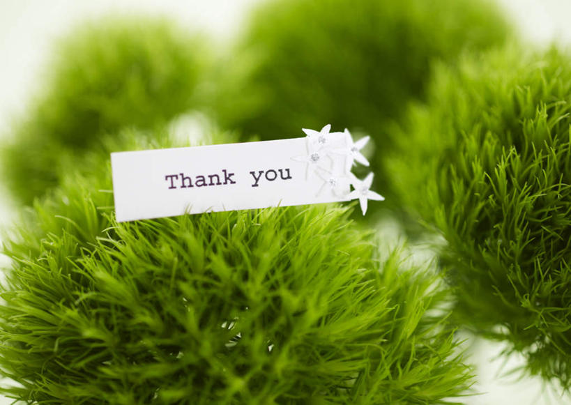 无人,横图,俯视,室内,特写,白天,草地,草坪,植物,叶子,父亲节,许多,绿色背景,节日,庆祝,盛开,英文,标志,文字,字符,字母,绿叶,草药,纸条,松露,花蕾,文化,标识,中药,草,花,花瓣,花朵,鲜花,绿色,白色,花苞,花蕊,庆典,嫩叶,摄影,影棚,摆放,纪念,英文字母,放置,药材,中草药,中药材,本草,感恩,叶,叶片,彩图,高角度拍摄,影棚拍摄,拍摄