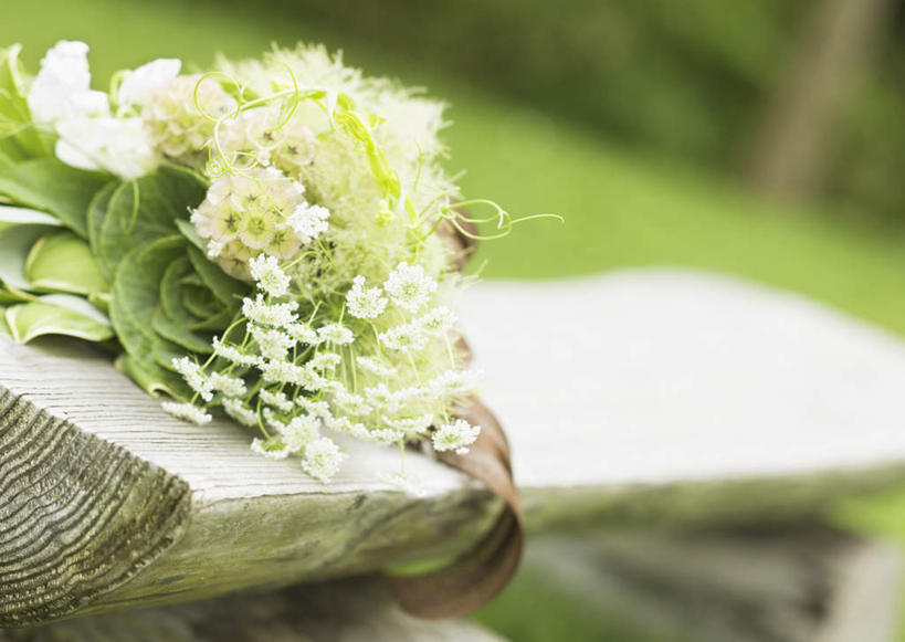 无人,横图,室外,特写,白天,正面,草地,草坪,植物,叶子,椅子,朦胧,模糊,盛开,捧花,手捧花,丝绸,丝带,木椅,绿叶,缎带,花蕾,绸带,草,花,花瓣,花朵,鲜花,绿色,花束,花苞,花蕊,嫩叶,婚礼捧花,叶,叶片,彩图