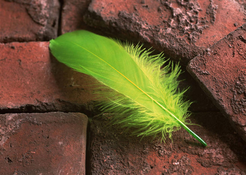 无人,横图,俯视,室内,特写,白天,建材,建筑,静物,羽毛,一根,轻盈,柔软,材料,砖,砖块,绿色,砖头,建造,红砖,轻柔,石料,彩图,高角度拍摄,砌墙砖