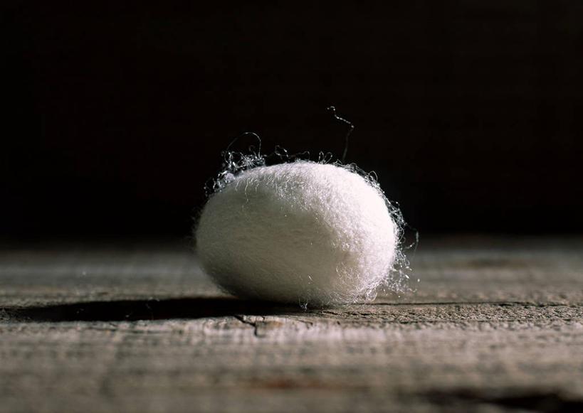 无人,横图,室内,特写,白天,正面,地板,阴影,黑色背景,反射,影子,地面,木地板,一个,摄影,影棚,单个,蚕茧,家蚕茧,桑蚕茧,彩图,影棚拍摄,拍摄