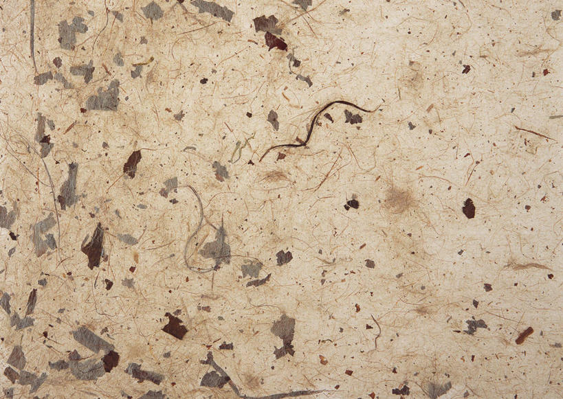 无人,横图,室内,特写,白天,正面,静物,一张,丰富,纹路,纹理,纸,斑点,褐色,纸张,黑点,文化,成熟,肌理,和纸,日本纸,谦让,随和,彩图