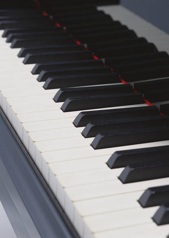 无人,竖图,俯视,室内,特写,白天,键盘,静物,一排,阴影,整齐,并列,并排,反射,影子,钢琴,乐器,排列,白色,黑色,键盘乐器,队列,平行,按键,彩图,高角度拍摄