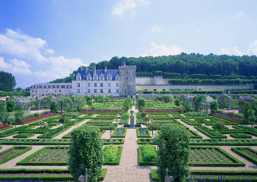 无人,家,横图,室外,白天,正面,旅游,度假,名胜古迹,植物,别墅,标志建筑,道路,地标,建筑,路,法国,欧洲,阴影,环保,遗迹,盛开,光线,影子,堡垒,城堡,房屋,屋子,云,云朵,公寓,小路,防护,交通,花蕾,云彩,古迹,文物,娱乐,建设,古建筑,洋房,楼房,住宅,花,花瓣,花朵,鲜花,树,树木,蓝色,绿色,白云,蓝天,天空,阳光,自然,天,花苞,花蕊,享受,休闲,旅游胜地,放松,生长,晴朗,成长,要塞,美好,美妙,间隔,古文明,法兰西共和国,首府,美观,雅观,法兰西第五共和国,图尔,维朗德里城堡,设防,安德尔.卢瓦尔省,绿篱,生篱,树篱,植篱,中央大区,晴空,彩图,房子