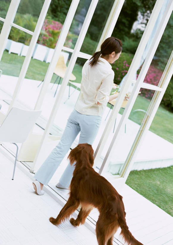东方人,一个人,走,竖图,室内,白天,草地,草坪,植物,门,宠物,狗,椅子,玻璃,亚洲,仅一个年轻女性,仅一个女性,仅一个人,握,木椅,黄种人,玻璃制品,草,树,树木,一只,背面,绿色,自然,动物,门框,可爱,握着,生长,成长,忠诚,塞特犬,雪达犬,爱尔兰塞特犬,爱尔兰雪达犬,年轻女性,女人,女性,亚洲人,犬,步行,散步,走路,彩图,全身