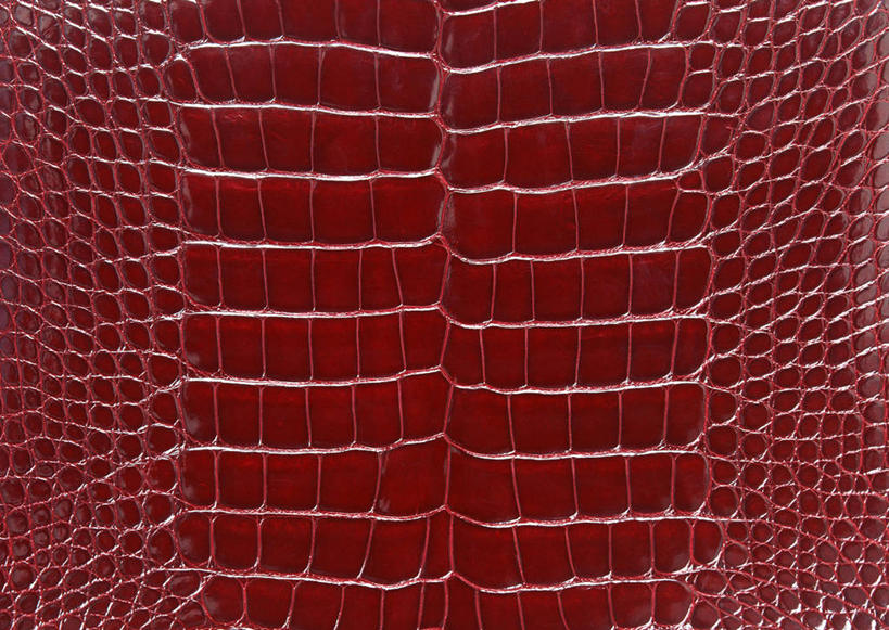 无人,横图,室内,特写,白天,正面,静物,一块,丰富,装饰,纹路,纹理,皮,褐色,皮革,温暖,成熟,皮肤,保暖,华丽,鳄鱼皮,皮毛,点缀,御寒,肌理,衬托,美观,雅致,雅观,谦让,随和,彩图,鳄鱼皮革