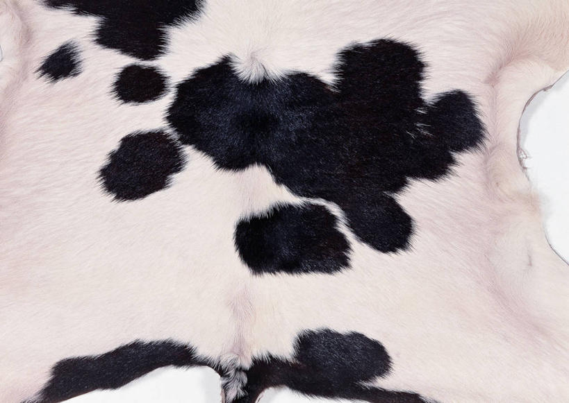 无人,横图,室内,特写,白天,正面,神秘,静物,一块,装饰,纹路,纹理,皮,皮革,白色,黑色,温暖,皮肤,保暖,严肃,华丽,牛皮,皮毛,点缀,卫生,御寒,庄重,纯真,含蓄,肌理,衬托,美观,雅致,雅观,洁净,沉静,光明,恬静,中间色,朴素,清白,彩图,牛皮革,小牛皮