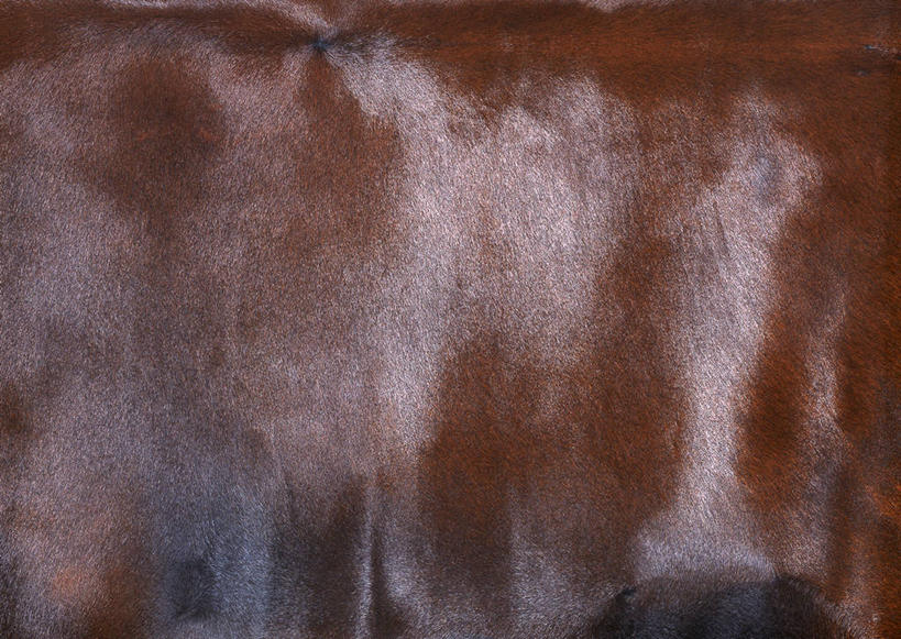 无人,横图,室内,特写,白天,正面,静物,一块,丰富,装饰,纹路,纹理,皮,褐色,皮革,温暖,成熟,皮肤,保暖,华丽,牛皮,皮毛,点缀,御寒,肌理,衬托,美观,雅致,雅观,谦让,随和,彩图,牛皮革,小牛皮
