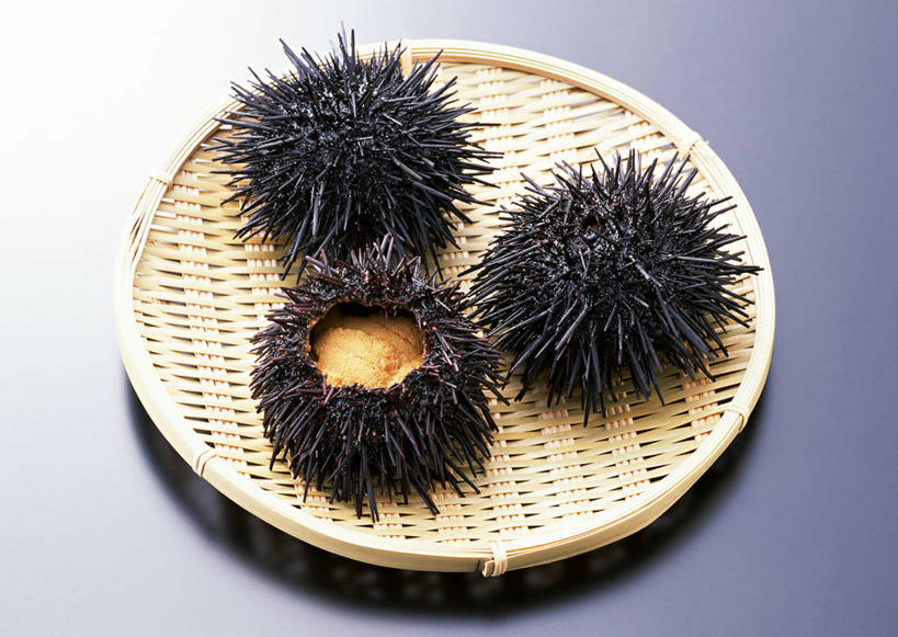 海鲜,无人,交叉,横图,俯视,室内,特写,白天,竹子,海胆,阴影,竹制,紫色背景,编织,反射,篮子,影子,水产,海洋生物,三个,一个,黑色,竹篮,摄影,影棚,单个,竹条,环刺海胆,交织,竹制品,水生动物,海产品,水生物,海底动物,刺锅子,海刺猬,穿插,彩图,高角度拍摄,全身,影棚拍摄,拍摄