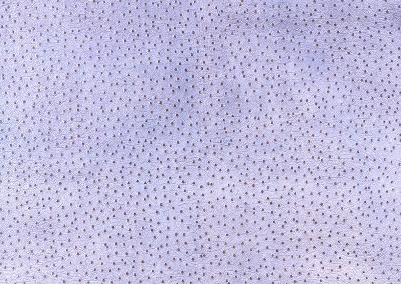 无人,横图,室内,特写,白天,正面,静物,一块,装饰,纹路,纹理,皮,皮革,灰色,温暖,皮肤,保暖,华丽,皮毛,点缀,御寒,肌理,衬托,美观,雅致,雅观,柔和,大方,细致,猪皮,中间色,朴素,平稳,彩图,猪皮革