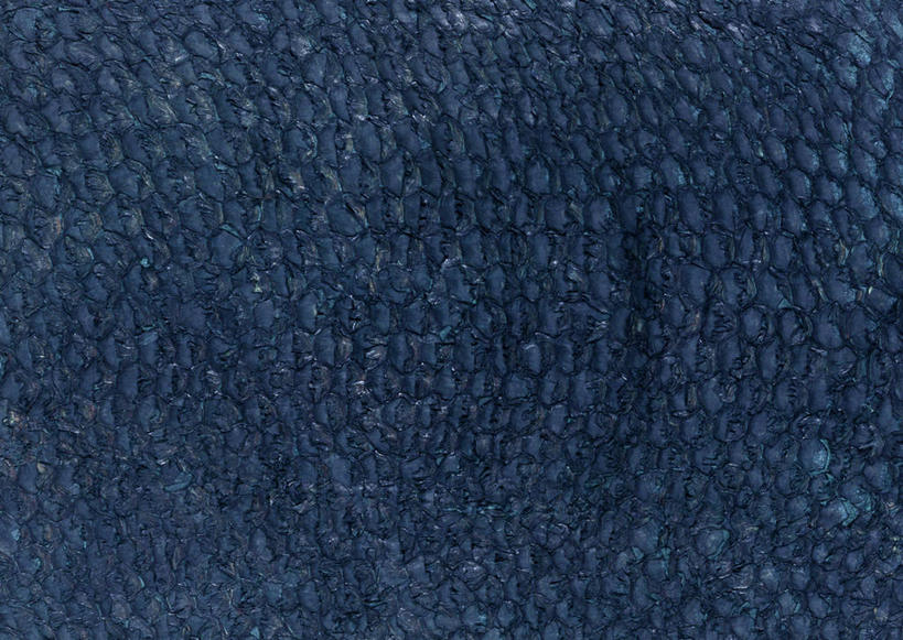 无人,横图,室内,特写,白天,正面,静物,一块,装饰,透明,纹路,纹理,皮,皮革,蓝色,温暖,皮肤,保暖,华丽,点缀,御寒,鱼皮,肌理,衬托,美观,雅致,雅观,理智,沉静,冷色,高深,冷淡,彩图,鱼皮革