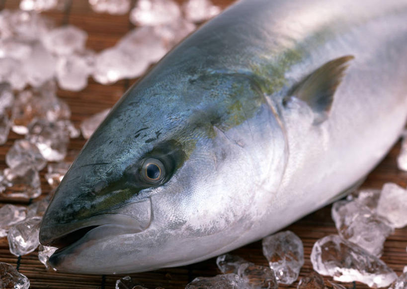 海鲜,无人,横图,俯视,室内,特写,白天,桌面,桌子,一条,许多,阴影,反射,木制,鱼,影子,冰,冰块,冷冻,水产,鱼类,海洋生物,木制品,寒冷,冷藏,死亡,冰冷,水生动物,海产品,水生物,海底动物,保鲜,殒命,灭亡,鰤,鰤鱼,半身,彩图,高角度拍摄