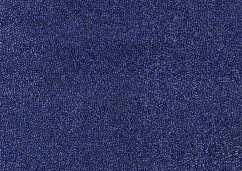 无人,横图,室内,特写,白天,正面,神秘,静物,阴影,反射,纹路,纹理,影子,皮,皮革,黑色,皮肤,严肃,牛皮,皮毛,庄重,含蓄,肌理,沉静,中间色,彩图,牛皮革