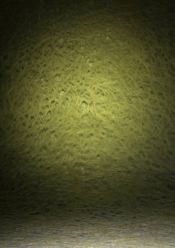 无人,竖图,室内,特写,白天,正面,静物,阴影,新鲜,褶皱,反射,纹路,纹理,影子,纸,纸张,文化,绿色,青春,生命,和平,安详,肌理,和纸,日本纸,冷色,彩图