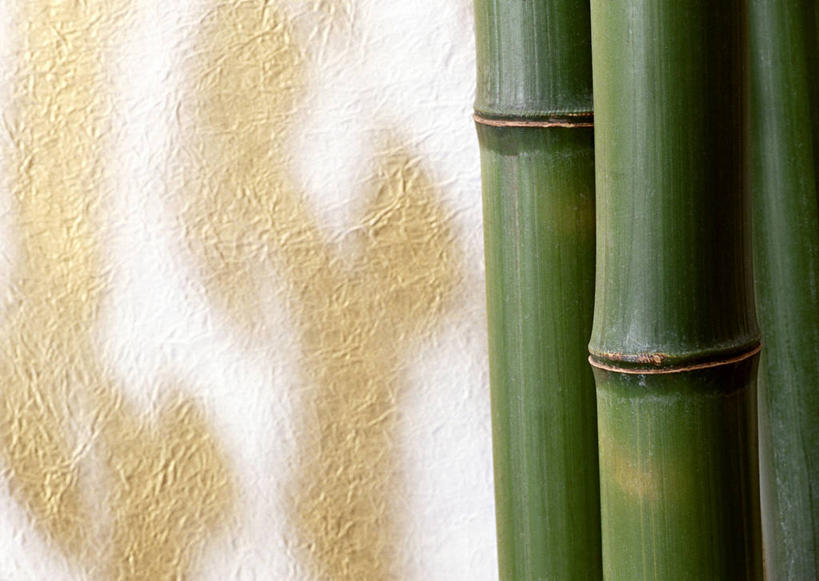 无人,横图,室内,特写,白天,正面,静物,阴影,丰富,反射,纹路,纹理,影子,纸,褐色,纸张,文化,白色,成熟,肌理,和纸,日本纸,谦让,随和,彩图