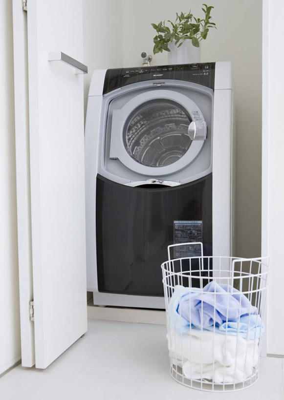 无人,竖图,室内,白天,正面,植物,门,服装,电器,篮子,盆栽,塑料,墙,盆景,墙壁,墙面,衣服,绿色,白色,自然,容器,塑料制品,门框,服饰,洗衣机,生长,成长,储藏,家电,家用电器,衣着,滚筒洗衣机,储存,穿着,衣饰,清洗,洗涤,彩图,贮存