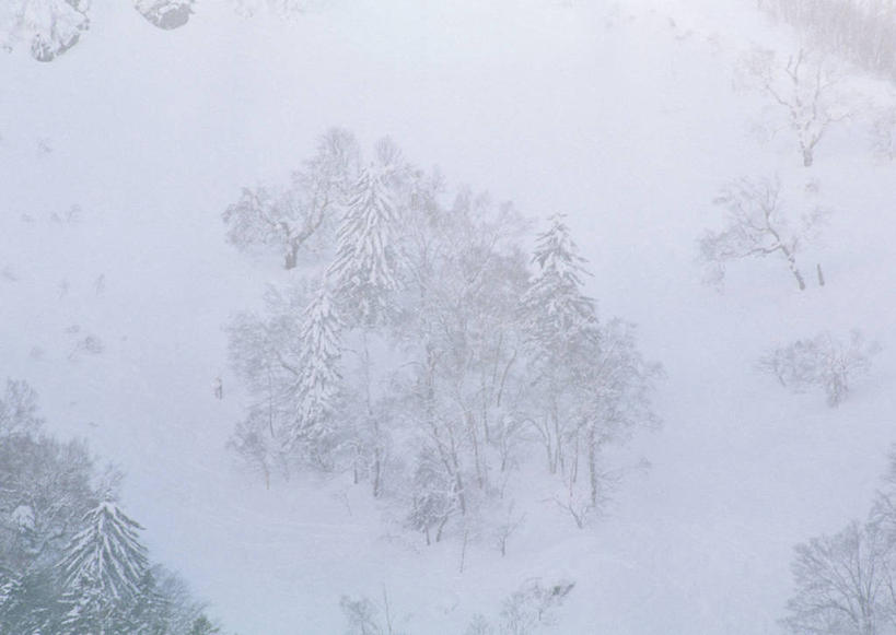 无人,横图,室外,白天,正面,旅游,度假,美景,森林,树林,雪,植物,暴风雪,大暴雪,大雪,北海道,日本,亚洲,朦胧,模糊,积雪,景观,雪景,冬季,冬天,娱乐,树,树木,绿色,自然,享受,休闲,景色,放松,寒冷,生长,成长,自然风光,东亚,札幌,日本国,北海道地方,北海道岛,严寒,县厅,暴雪,彩图,札幌市