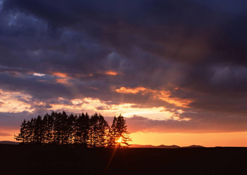 无人,横图,室外,白天,正面,旅游,度假,美景,日落,树林,雪,植物,大雪,北海道,日本,亚洲,阴影,光线,影子,积雪,景观,晚霞,霞光,雪景,冬季,冬天,落日,背光,娱乐,树,树木,绿色,阳光,自然,黄昏,享受,休闲,景色,彩霞,放松,寒冷,生长,成长,自然风光,逆光,东亚,日本国,北海道地方,北海道岛,美瑛町,严寒,美瑛,道北,夕照,薄暮,夕阳,彩图,傍晚,上川郡,斜阳,上川支厅