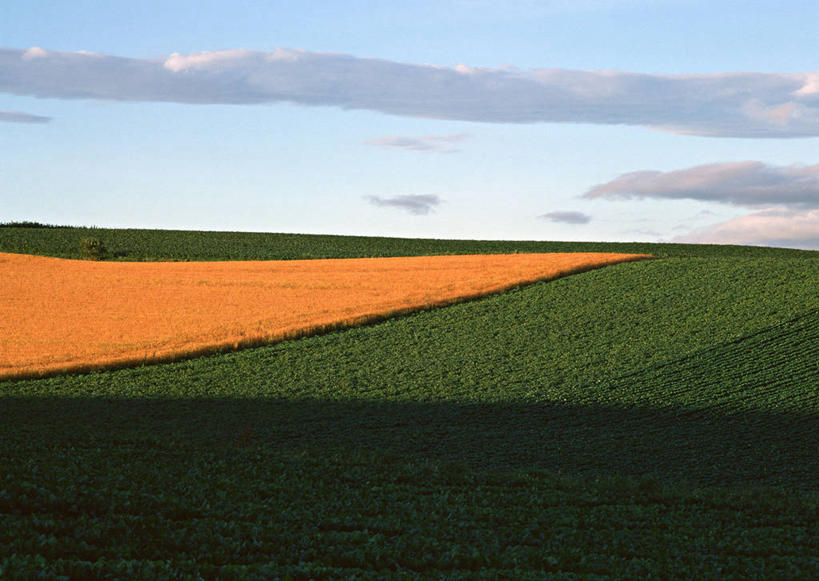 无人,农田,横图,室外,白天,正面,旅游,度假,庄稼,农作物,美景,山,山脉,北海道,日本,亚洲,阴影,光线,影子,地平线,景观,山峰,云,云朵,辽阔,地面,山峦,云彩,娱乐,蓝色,白云,蓝天,天空,阳光,自然,群山,天,享受,休闲,广阔,景色,放松,晴朗,一望无际,自然风光,延伸,东亚,日本国,天地相交,北海道地方,北海道岛,美瑛町,美瑛,道北,无边无际,一马平川,晴空,彩图,耕地,庄稼田,上川郡,上川支厅