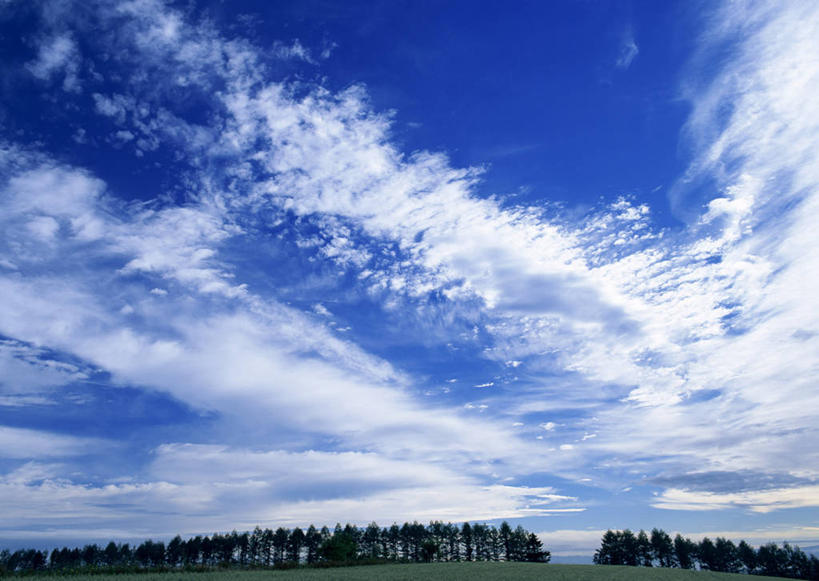 无人,横图,室外,白天,正面,旅游,度假,美景,森林,树林,植物,北海道,日本,亚洲,阴影,光线,影子,景观,云,云朵,云彩,娱乐,树,树木,蓝色,绿色,白云,蓝天,天空,阳光,自然,天,享受,休闲,景色,放松,生长,晴朗,成长,自然风光,东亚,日本国,北海道地方,北海道岛,美瑛町,美瑛,道北,晴空,彩图,上川郡,上川支厅