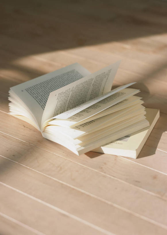 无人,竖图,俯视,室内,特写,白天,地板,静物,书籍,阴影,反射,影子,地面,木地板,打开,翻开,两本,掀开,书,图书,彩图,高角度拍摄