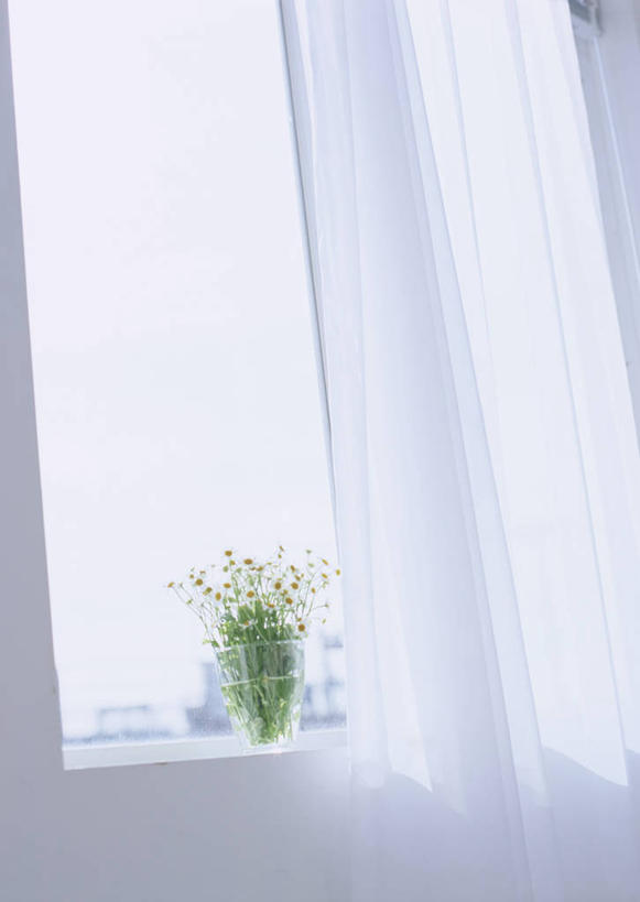 无人,竖图,室内,白天,正面,植物,窗户,花瓶,许多,阴影,装饰,盛开,反射,盆栽,影子,墙,盆景,花蕾,玻璃窗,墙壁,墙面,玻璃制品,花,花瓣,花朵,鲜花,绿色,白色,自然,玻璃瓶,瓶子,花苞,花蕊,菊花,小白菊,生长,成长,华丽,修饰,点缀,衬托,美观,雅致,雅观,钮扣菊,彩图