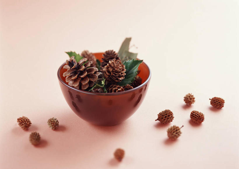 无人,横图,俯视,室内,特写,白天,叶子,玻璃,阴影,反射,影子,坚果,果实,绿叶,松果,玻璃制品,一个,容器,碗,干果,嫩叶,摄影,影棚,单个,储藏,松塔,储存,叶,叶片,彩图,高角度拍摄,影棚拍摄,拍摄,贮存