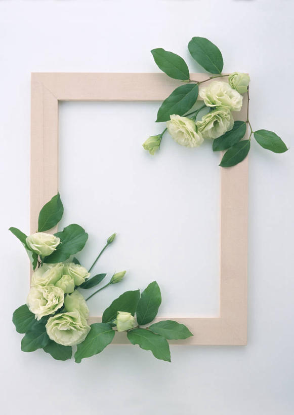 无人,竖图,俯视,室内,特写,白天,白色背景,叶子,相框,装饰,环绕,盛开,围绕,木制,图形,绿叶,长方形,几何,花蕾,环抱,花,花瓣,花朵,鲜花,一个,木制品,花苞,花蕊,嫩叶,摄影,影棚,单个,华丽,修饰,桔梗花,僧冠帽,草原龙胆,点缀,矩形,数学,感动,柠檬叶,六角荷,永恒,梗草,衬托,美观,雅致,雅观,洋桔梗,萦绕,叶,叶片,彩图,高角度拍摄,影棚拍摄,拍摄,几何图形,黎檬,洋柠檬,平面图形