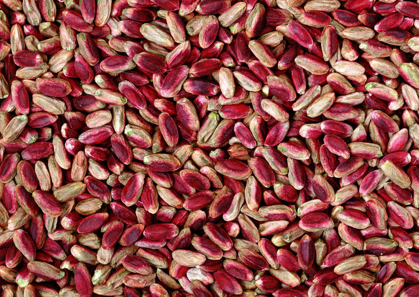 无人,横图,俯视,室内,特写,白天,一堆,许多,堆叠,堆积,坚果,很多,红色,干果,摄影,影棚,堆,无名子,开心果,胡棒子,绿仁果,彩图,高角度拍摄,影棚拍摄,拍摄