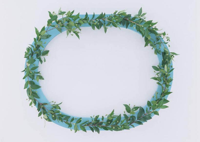 无人,横图,俯视,室内,特写,白天,白色背景,水果,叶子,相框,新鲜,装饰,盛开,图形,椭圆,椭圆形,生食,食品,果实,绿叶,几何,花蕾,花,花瓣,花朵,鲜花,食物,一个,花苞,花蕊,嫩叶,摄影,有机食品,绿色食品,影棚,单个,华丽,修饰,点缀,数学,衬托,美观,雅致,雅观,番樱桃,巴西红果,扁樱桃,红果仔,稜果蒲桃,叶,叶片,彩图,高角度拍摄,影棚拍摄,拍摄,几何图形,平面图形