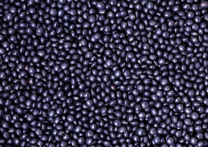 无人,横图,俯视,室内,特写,白天,神秘,植物,豆,蔬菜,一堆,许多,阴影,堆叠,堆积,新鲜,反射,影子,豆类,豆子,黑豆,食品,食物,黑色,有机食品,绿色食品,堆,严肃,庄重,豆科,含蓄,乌豆,乌大豆,沉静,中间色,彩图,高角度拍摄