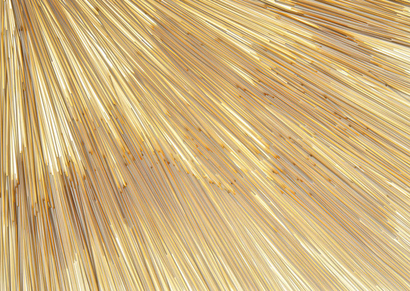 面食,面条,无人,横图,俯视,室内,特写,白天,一排,许多,阴影,整齐,透明,反射,纹路,纹理,影子,面,辉煌,拉面,排列,黄色,健康,摄影,活泼,荞麦面,影棚,希望,暖色,队列,光辉,肌理,光明,功名,轻快,彩图,高角度拍摄,影棚拍摄,拍摄