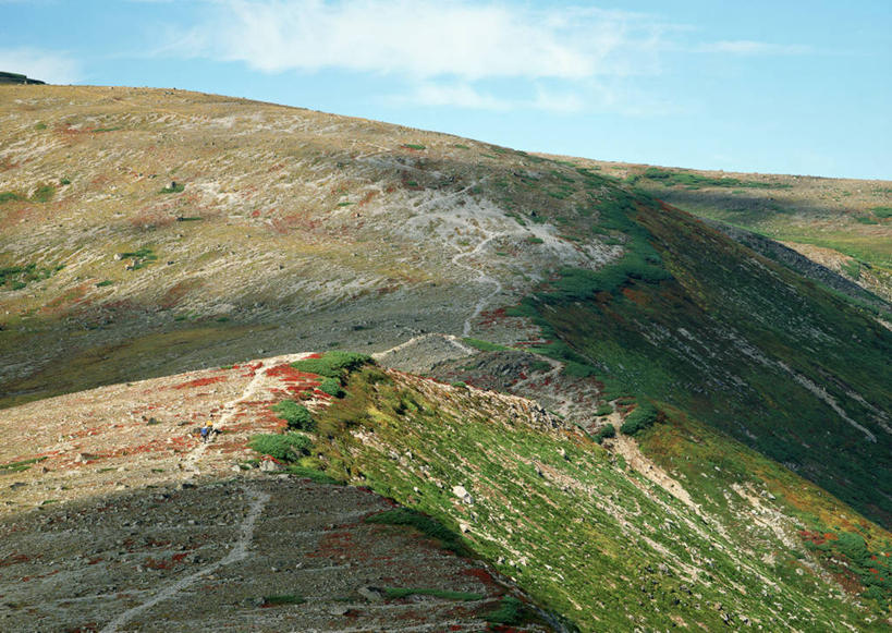 无人,公园,横图,室外,白天,正面,旅游,度假,草地,草坪,美景,山,山脉,植物,北海道,日本,亚洲,阴影,光线,影子,景观,山峰,云,云朵,山峦,云彩,娱乐,草,树,树木,蓝色,绿色,白云,蓝天,天空,阳光,自然,群山,天,享受,休闲,景色,放松,生长,晴朗,成长,自然风光,东亚,日本国,北海道地方,北海道岛,国立公园,晴空,彩图,大雪山国立公园