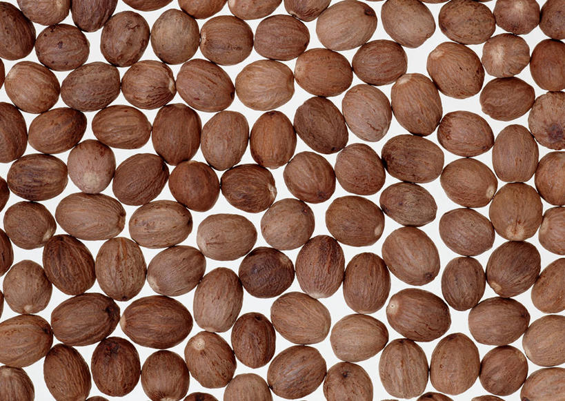 无人,横图,俯视,室内,特写,白天,白色背景,植物,一堆,许多,阴影,堆叠,堆积,反射,影子,香料,草药,药草,中药,摄影,影棚,堆,肉豆蔻,药材,中草药,肉蔻,肉果,玉果,中药材,本草,消食,彩图,高角度拍摄,影棚拍摄,拍摄