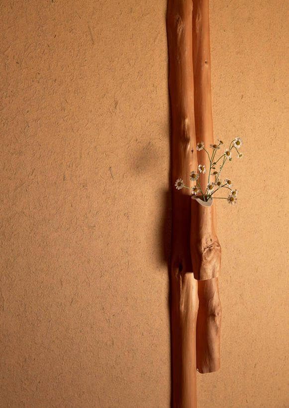 无人,家,竖图,室内,特写,白天,正面,房间,家具,花瓶,朦胧,模糊,日本文化,盛开,陶瓷,墙,屋子,陶瓷制品,和室,古典,花蕾,文化,楼房,墙壁,墙面,住宅,花,花瓣,花朵,鲜花,白色,瓶子,花苞,花蕊,日式,彩图,房子,传统文化