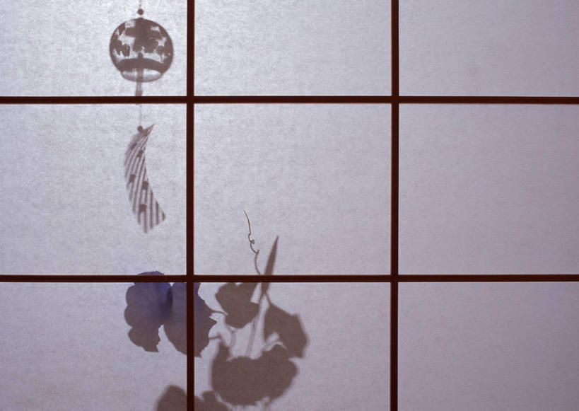 无人,横图,室内,特写,白天,正面,幸福,运气,门,风铃,叶子,拉门,阴影,反射,影子,绿叶,移门,祈祷,祈福,嫩叶,警示,许愿,祈求,吉祥,平和,问候,警惕,思念,想念,玉振,障子,纸门,幸运,叶,叶片,占风铎,彩图