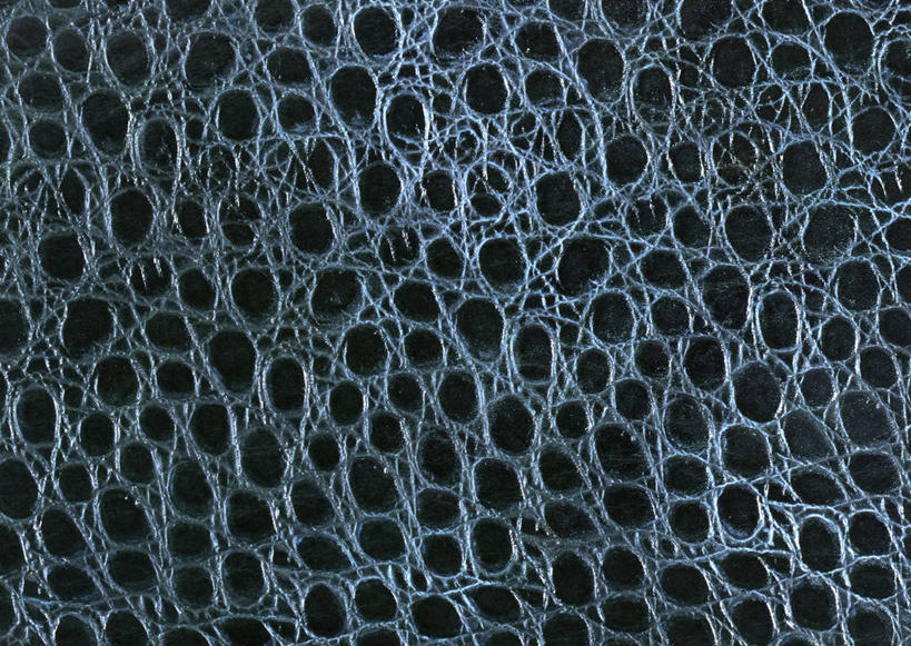 无人,横图,室内,特写,白天,正面,神秘,静物,一块,装饰,纹路,纹理,皮,皮革,黑色,温暖,皮肤,保暖,严肃,华丽,牛皮,皮毛,点缀,御寒,庄重,含蓄,肌理,衬托,美观,雅致,雅观,沉静,中间色,彩图,牛皮革,黄牛皮