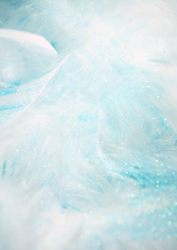 无人,竖图,室内,特写,白天,正面,静物,羽毛,阴影,轻盈,柔软,透明,反射,影子,蓝色,柔滑,轻柔,理智,沉静,冷色,高深,冷淡,娇嫩,柔嫩,优柔,彩图