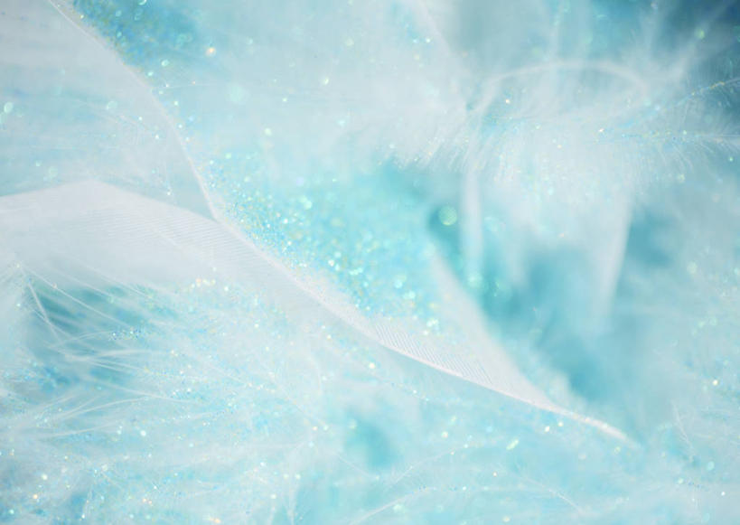 无人,横图,室内,特写,白天,正面,静物,羽毛,阴影,轻盈,柔软,透明,反射,影子,蓝色,柔滑,轻柔,理智,沉静,冷色,高深,冷淡,娇嫩,柔嫩,优柔,彩图