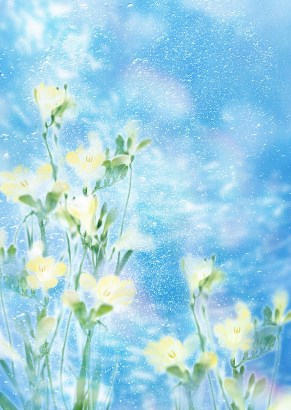 无人,竖图,室内,特写,白天,正面,纯洁,数码,科技,水,露水,阴影,朦胧,模糊,盛开,透明,网络,液体,水滴,小苍兰,高光,几何,计算机图形,合成,花蕾,水珠,花,花瓣,花朵,鲜花,蓝色,白色,泡泡,露珠,花苞,花蕊,生机,电脑合成图,数码合成图,合成图,清香,剔透,写实,具体,具象,灵动,浓情,麦兰,小菖兰,雪兰,洋晚香玉,理智,沉静,通明,冷色,高深,冷淡,彩图,晶莹