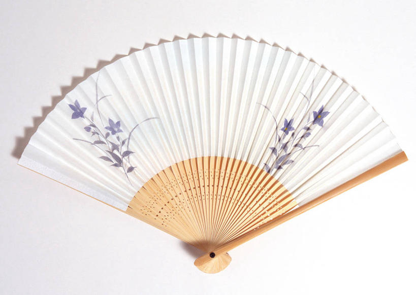 无人,横图,俯视,室内,特写,白天,白色背景,静物,一把,阴影,反射,扇子,影子,折扇,纸扇,清凉,凉爽,文化,摄影,影棚,撒扇,彩图,高角度拍摄,影棚拍摄,拍摄,传统文化