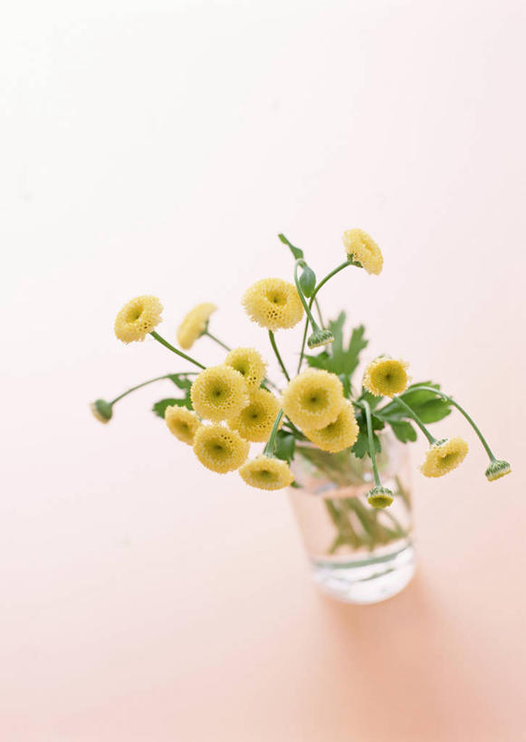 无人,竖图,俯视,室内,特写,白天,水,花瓶,阴影,粉色背景,装饰,盛开,反射,液体,影子,水滴,花蕾,玻璃制品,花,花瓣,花朵,鲜花,黄色,玻璃瓶,瓶子,花苞,花蕊,菊花,摄影,小白菊,影棚,华丽,修饰,点缀,衬托,美观,雅致,雅观,钮扣菊,彩图,高角度拍摄,影棚拍摄,拍摄
