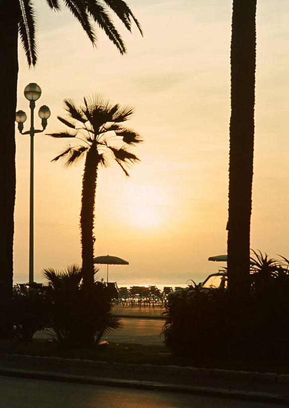 无人,竖图,室外,白天,正面,旅游,度假,美景,日落,太阳,植物,路灯,棕榈树,叶子,照明,法国,欧洲,景观,晚霞,霞光,落日,灯光,绿叶,背光,娱乐,灯,树,树木,绿色,自然,黄昏,享受,休闲,嫩叶,景色,彩霞,放松,生长,成长,照亮,照明设备,自然风光,逆光,棕榈叶,法兰西共和国,法兰西第五共和国,夕照,薄暮,普罗旺斯.阿尔卑斯.蓝色海岸,普罗旺斯.阿尔卑斯.蓝色海岸大区,叶,叶片,夕阳,棕树,棕榈,彩图,傍晚,斜阳