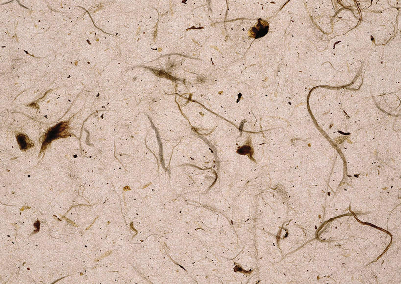 无人,横图,室内,特写,白天,正面,静物,花纹,丰富,褶皱,纹路,纹理,纸,褐色,纸张,文化,成熟,杂乱,混乱,肌理,和纸,日本纸,谦让,随和,紊乱,芜杂,彩图