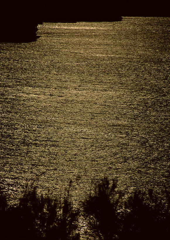 无人,竖图,俯视,室外,白天,旅游,度假,美景,日落,植物,日本,亚洲,景观,晚霞,霞光,落日,娱乐,冲绳,树,树木,绿色,自然,黄昏,享受,休闲,景色,彩霞,放松,生长,成长,冲绳县,自然风光,东亚,琉球群岛,日本国,九州地方,宫古岛,宫古列岛,夕照,薄暮,夕阳,彩图,高角度拍摄,傍晚,斜阳