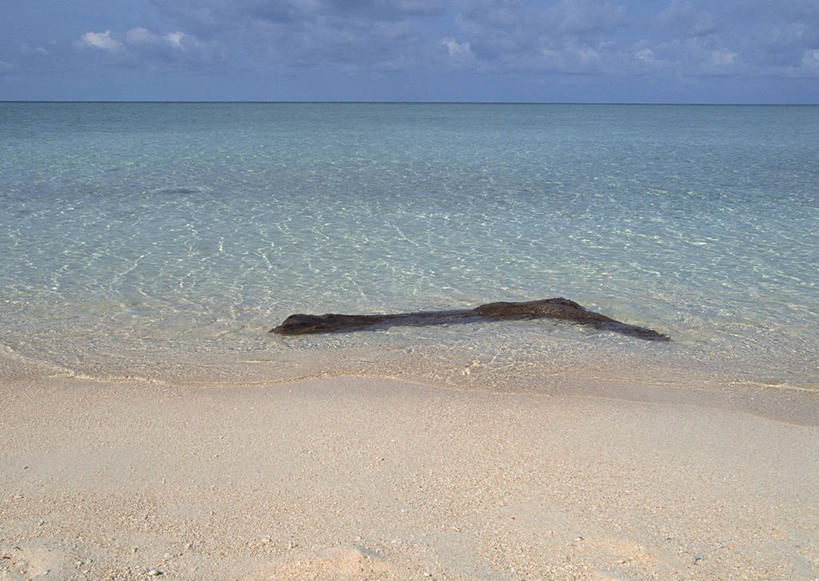 无人,横图,室外,白天,正面,旅游,度假,海浪,海洋,美景,沙滩,马来西亚,亚洲,木材,沙子,海岸,景观,浪花,水平线,云,云朵,辽阔,海平线,沙地,云彩,娱乐,木柴,蓝色,白云,蓝天,天空,自然,海水,天,享受,休闲,广阔,景色,放松,东南亚,木料,晴朗,一望无际,自然风光,海景,无边无际,一马平川,马来西亚联邦,大海,风浪,海,海水的波动,海滩,近岸浪,涌浪,晴空,彩图,诗巴丹,水天相接,水天一线
