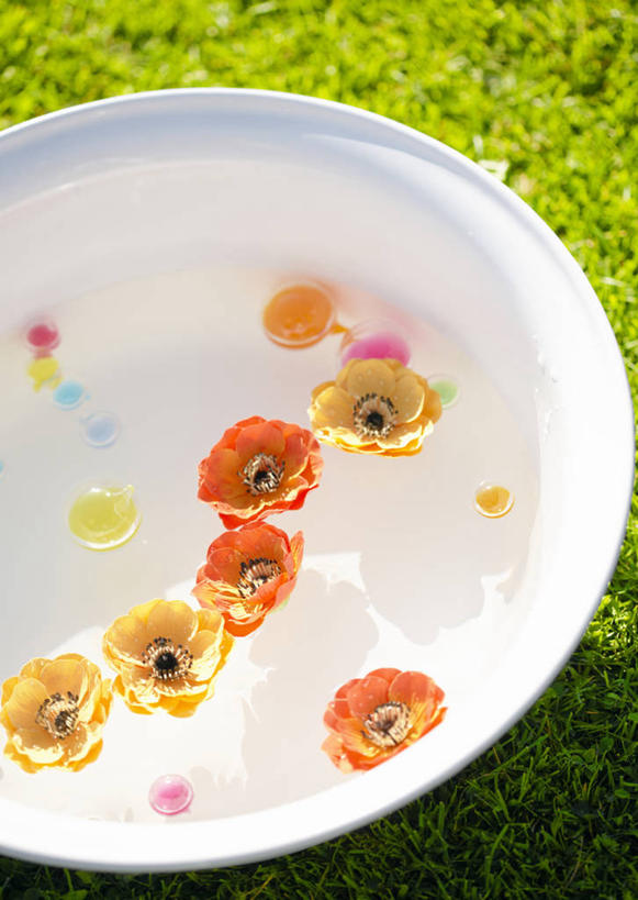 无人,竖图,俯视,室外,特写,白天,草地,草坪,水,植物,阴影,盛开,光线,液体,影子,陶瓷,水滴,陶瓷制品,花蕾,干净,水盆,洗脚,草,花,花瓣,花朵,鲜花,黄色,绿色,阳光,容器,花苞,花蕊,清洁,享受,健康,橙色,放松,保健,足浴,储藏,卫生,储存,清洗,彩图,高角度拍摄,贮存