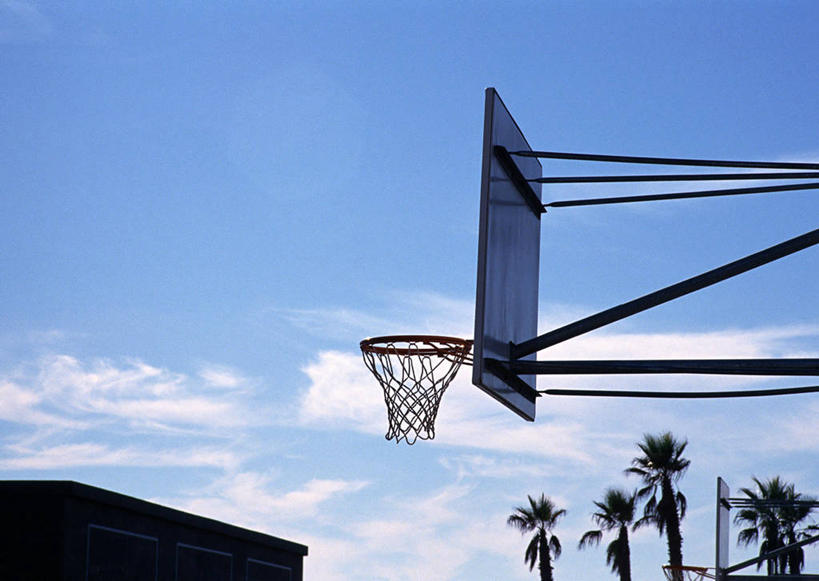 无人,横图,室外,白天,仰视,植物,棕榈树,叶子,阴影,光线,篮球框,影子,云,云朵,绿叶,云彩,树,树木,蓝色,绿色,白云,蓝天,天空,阳光,自然,天,嫩叶,篮球网,生长,晴朗,成长,棕榈叶,篮球板,叶,叶片,晴空,棕树,棕榈,彩图,低角度拍摄