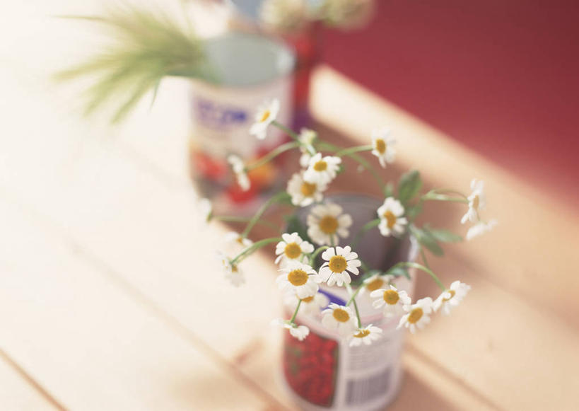 无人,横图,俯视,室内,特写,白天,智慧,地板,花瓶,叶子,阴影,朦胧,模糊,艺术,装饰,盛开,反射,影子,陶瓷,绿叶,陶瓷制品,地面,花蕾,文化,木地板,花,花瓣,花朵,鲜花,一个,插花,瓶子,花苞,花蕊,嫩叶,菊花,小白菊,单个,华丽,修饰,插花艺术,点缀,创造,创作,想象,衬托,美观,雅致,雅观,钮扣菊,叶,叶片,彩图,高角度拍摄